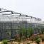 vegetable greenhouses for sale/greenhouses for roses/vegetable seeds greenhouse