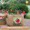 wholesale jute fabric storage bag durable jute bag eggplant grow bag