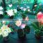 Hot sale Christmas decoration led lights for flower arrangements