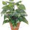 Artificial Green Bonsai Bamboo Leaf Kwai WB33-22J-GN( Plant Bonsai Flower Tree of Este )