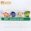Mini Custom Tourism Magnet Fridge Magnet