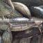 frozen skipjack/sikpjack tuna