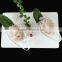 HL002 Frozen pdto shrimp