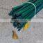 Dyed green bamboo sticks for garden&agriculture
