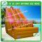 Inflatable giant slide for adult from Running Fun