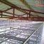 Lesotho Poultry Farm Equipment Battery Broiler Cage & Meat Chicken Cage with Automatic Feeding Machien Used in Chicken Shed