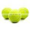 china suppliers promotional multi-colored custom printed tennis balls training