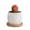 Flower Pots Owl Small Ceramic Factories Directly New Design Cheap Mini Cute Nursery Animal Succulent Plants, Small Plants White