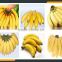 Leader green banana semiautomic peeling machine Whatsapp:+8618336073732