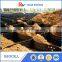 Soil Sustainability Geocell Price