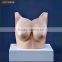 wood arms mannequin with head lower body female torso big