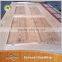 Cheap bedroom wooden door men door