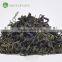 Hot sale relaxing tea brand maofeng green tea