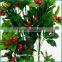 Factory Price Plastic Mini Cherry Tree Indoor Decor Artificial Cherry Tree