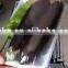 Hot Sell Wenzhou Hongzhan Hand fruit Wrapper