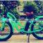 Newest! New Design cool fat tire electric mountain bike 48v 500w for sale