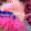 Leading Supplier CHINAZP Wholesale High Quality Dyed Black with Hot Pink Colorful Marabou Feathers Boas