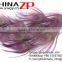 Leading Supplier CHINAZP Wholesale High Quality Dyed Purple Trimmed Short Peacock Feathers for Earrings