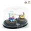 SL-2062 cute monkey geo contact lens case