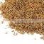 Singapore Quality - Europe Quality - UAE Quality Cumin Seeds