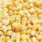 2016 new crop frozen sweet corn yellow corn kernels