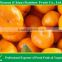 vegetables fruits of honey baby mandarin from Nanfeng producing area