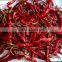 Dried Indian Red Chilli Exporters