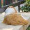 Korean Cube Pets Animal Dog Tube Plush Dog Toys for Sales