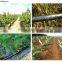 China High Performance Price Ratio Latest Technology Drip Pipe Drip Irrigation System
