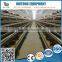 Coop factory supply quality new design chicken layer cages