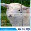 1.5m high 50m/roll European standard heavy galvanized field fence hinge joint