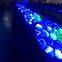event management equipment RGBW Zoom dj stage Lighting rainbow Beam 19pcsx10w big eyes moving head light