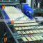 width adjustable international food grade conveyor manufacturer