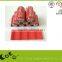 Silicone Wine Racks water Bottle Holders Silicone Beer Rack beer holders beer can holder