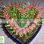Lucky bamboo ( Dracaena Sanderiana) heart shape