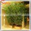 2016 Wholesale outdoor chinese bamboo plant for hotel decoration plastic bamboo artificial bamboo plants