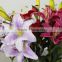 3 flowers 2 buds tiger lily artificial flower 27441