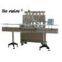Mineral Water Filling Machine