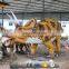 Mechanical Dinosaurs Real Life Size Dinosaur Statue for Amusement Park