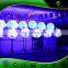 PVC Fish Shaped Balloon Stand Lighting, LED Balloon Light