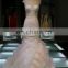 Mother Of The Bride Dress Layered Mermaid Sweetheart Royal Blue And White Wedding Dress/Open Back Wedding Dresses