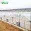 Classic Commercial Plastic Film Greenhouse/Garden Greenhouse for sale