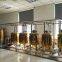 300L/ 2BBL titanium plating stainless steel beer fermentation tank beer fermenter