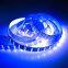 Factory Wholesale Building Decoration Indoor Outdoor Landscape Ip65 Smd 5050 Dc 12v Led Strip Light