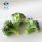 2020 BRC Certified IQF Bulk Frozen Broccoli with Competitive Price