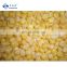 Manufacturer and Exporter of IQF Frozen Sweet Corn Kernels with high brix