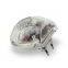 Factory Supply Home Plug In Ultrasonic + Electromagnetic Dust Mite / Bed Bugs / Spider Repeller