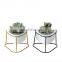 Ins Balcony Mini Pots Iron Home Garden Clear Gold Wholesale Luxury Triangle Shaped Porcelain Indoor Flower Pot With Stand