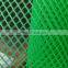 PP\PE Wire Mesh Plastic Flat Netting