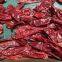 HL dry red chili spicy